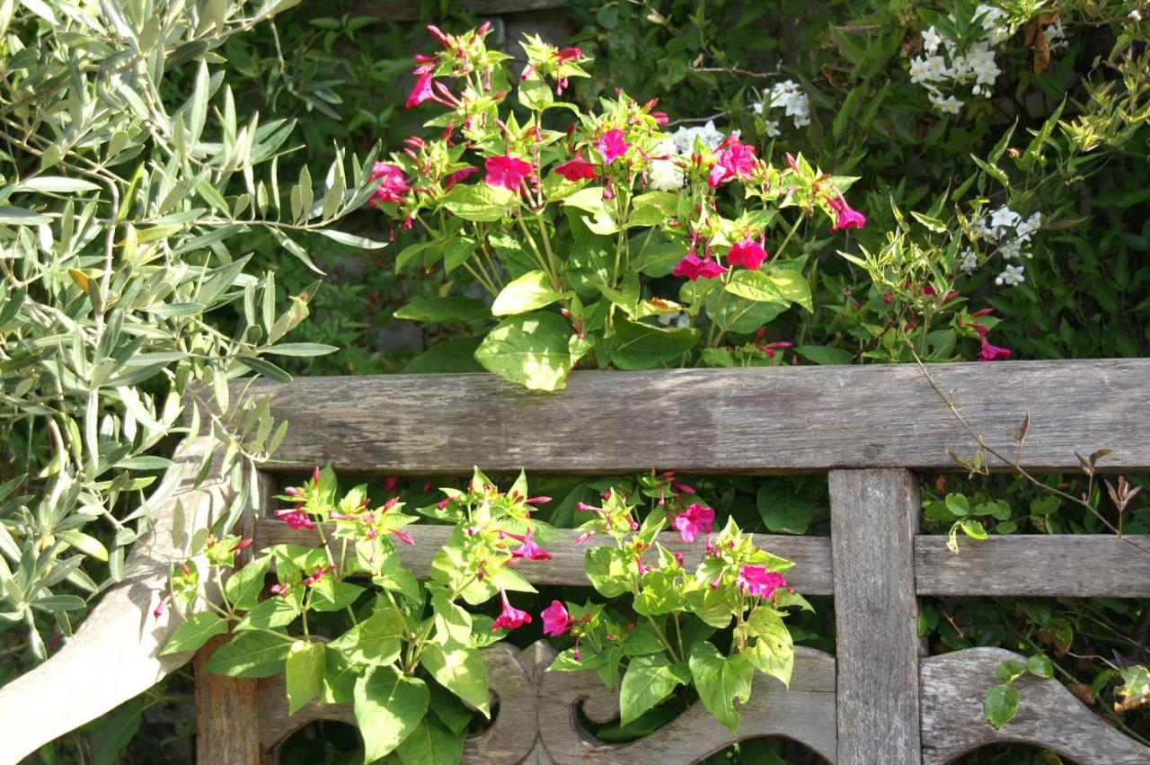 Giverny Cottage Saint Coulomb Bagian luar foto